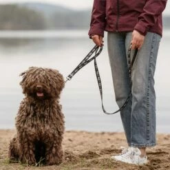 Laisse Réglable Hurtta Bare, Gris Foncé Pour Chien 5 Laisse Réglable Hurtta Bare, Gris Foncé Pour Chien -Aanbiedingen Zooplus Winkel 288348 hurtta bare verstellbare fuehrleine coal hs 02 1