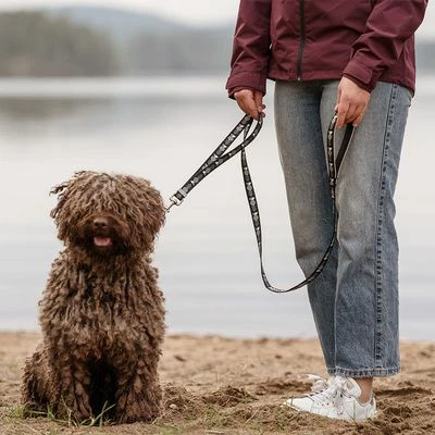 Laisse Réglable Hurtta Bare, Gris Foncé Pour Chien 3 Laisse Réglable Hurtta Bare, Gris Foncé Pour Chien - Afbeelding 3