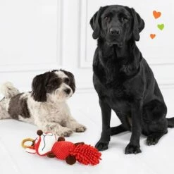 Jouet Doglove Renard Pour Chien 10 Jouet Doglove Renard Pour Chien -Aanbiedingen Zooplus Winkel 303196 edupet doglove hundespielzeug fuchs hs 05 9