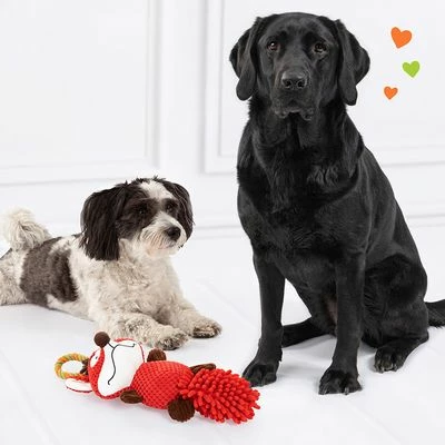 Jouet Doglove Renard Pour Chien 5 Jouet Doglove Renard Pour Chien - Afbeelding 5