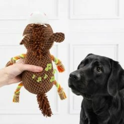 Jouet Doglove Cheval Pour Chien -Aanbiedingen Zooplus Winkel 303597 edupet doglove hundespielzeug pferd hs 03 7