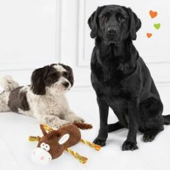 Jouet Doglove Cheval Pour Chien -Aanbiedingen Zooplus Winkel 303597 edupet doglove hundespielzeug pferd hs 05 3