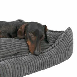 Panier Modern Living Helena Pour Chien 39 Panier Modern Living Helena Pour Chien -Aanbiedingen Zooplus Winkel 320397 hundebett helena grau fg 2233 5