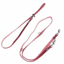 Laisse Nomad Tales Blush, Rosé Pour Chien 20 Laisse Nomad Tales Blush, Rosé Pour Chien -Aanbiedingen Zooplus Winkel 325600 325601 nomad tales blush hundeleine rose fg 1403 6