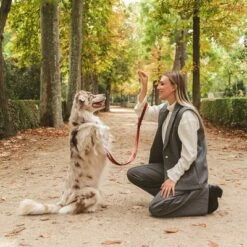 Laisse Nomad Tales Blush, Rosé Pour Chien 19 Laisse Nomad Tales Blush, Rosé Pour Chien -Aanbiedingen Zooplus Winkel 325600 325601 nomadtales blush hundeleine rose hs 07 4