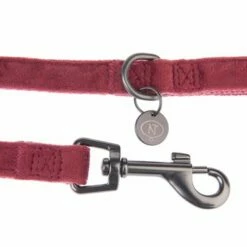 Laisse Nomad Tales Blush, Rosé Pour Chien 21 Laisse Nomad Tales Blush, Rosé Pour Chien -Aanbiedingen Zooplus Winkel 325600 nomad tales blush hundeleine rose fg 1406 5