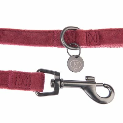 Laisse Nomad Tales Blush, Rosé Pour Chien 6 Laisse Nomad Tales Blush, Rosé Pour Chien - Afbeelding 6