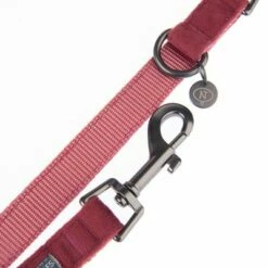 Laisse Nomad Tales Blush, Rosé Pour Chien 24 Laisse Nomad Tales Blush, Rosé Pour Chien -Aanbiedingen Zooplus Winkel 325601 nomad tales blush hundeleine rose fg 1398 4