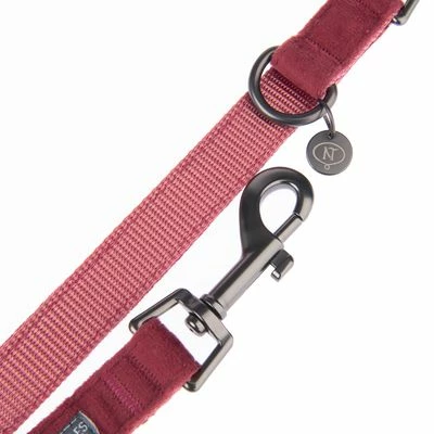Laisse Nomad Tales Blush, Rosé Pour Chien 9 Laisse Nomad Tales Blush, Rosé Pour Chien - Afbeelding 9