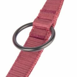 Laisse Nomad Tales Blush, Rosé Pour Chien 26 Laisse Nomad Tales Blush, Rosé Pour Chien -Aanbiedingen Zooplus Winkel 325601 nomad tales blush hundeleine rose fg 1401 7