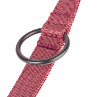 Laisse Nomad Tales Blush, Rosé Pour Chien 11 Laisse Nomad Tales Blush, Rosé Pour Chien - Afbeelding 11