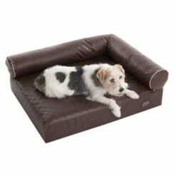Canapé Pour Chien Wellness Divan Antique -Aanbiedingen Zooplus Winkel 333772 wellness hundesofa divan antik 09 06 2013 dsc0334 6