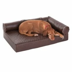 Canapé Pour Chien Wellness Divan Antique -Aanbiedingen Zooplus Winkel 333772 wellness hundesofa divan antik 11 06 2013 dsc0307 5