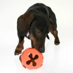 Balle Ajourée Nomad Tales Bloom Pour Chien -Aanbiedingen Zooplus Winkel 379800 nt bloom trapped ball fg 4169 6