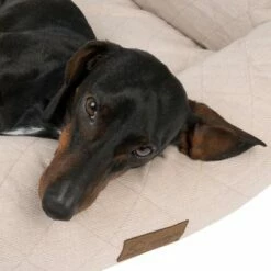 Panier Modern Living Muscat Pour Chien 17 Panier Modern Living Muscat Pour Chien -Aanbiedingen Zooplus Winkel 382711 dog bed muscat fg 0125 6