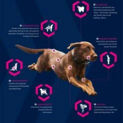 Eukanuba Adult Breed Specific Jack Russell Terrier Pour Chien -Aanbiedingen Zooplus Winkel 3 icons generell eukanuba hund 6