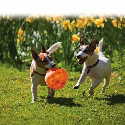 Jouet KONG Jumbler Pour Chien 7 Jouet KONG Jumbler Pour Chien - Afbeelding 7