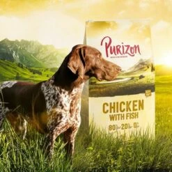 Lot Purizon 2 X 12 Kg Pour Chien -Aanbiedingen Zooplus Winkel 4 chicken 1