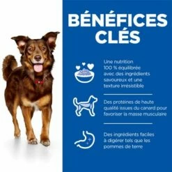 Hill's Science Plan Adult Culinary Creations Medium Canard, Pommes De Terre Pour Chien -Aanbiedingen Zooplus Winkel 4 sp medium adult culinary creations dog food with duck potatoes bk33724m benefits 6