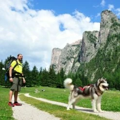 Laisse NEEWA Bungee Pour Chien -Aanbiedingen Zooplus Winkel 505646 hp neewa bungee leine im einsatz 9