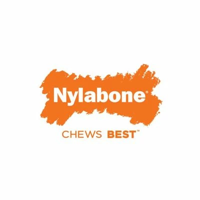 Jouet Os Nylabone Dura Chew Bœuf Séché Pour Chien 3 Jouet Os Nylabone Dura Chew Bœuf Séché Pour Chien - Afbeelding 3