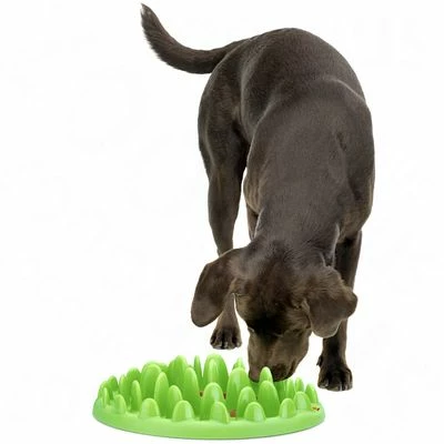 Gamelle NORTHMATE ® Green Feeder Pour Chien 2 Gamelle NORTHMATE ® Green Feeder Pour Chien - Afbeelding 2