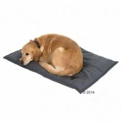 Lot : Panier Sleepy Time Avec Coussin, Gris + Couverture Freedom Bone Pour Chien 37 Lot : Panier Sleepy Time Avec Coussin, Gris + Couverture Freedom Bone Pour Chien -Aanbiedingen Zooplus Winkel 62899 kissen freedom bone 06 3