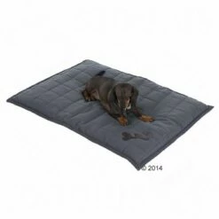 Lot : Panier Sleepy Time Avec Coussin, Gris + Couverture Freedom Bone Pour Chien 31 Lot : Panier Sleepy Time Avec Coussin, Gris + Couverture Freedom Bone Pour Chien -Aanbiedingen Zooplus Winkel 62899 kissen freedom bone 07 7