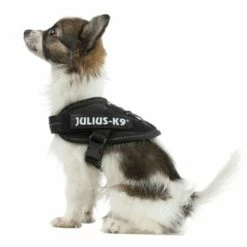 Julius K9 Harnais JULIUS-K9 IDC® Power, Noir Pour Chien 14 Julius K9 Harnais JULIUS-K9 IDC® Power, Noir Pour Chien -Aanbiedingen Zooplus Winkel 65467 julius k9 idc powergeschirr schwarz 7