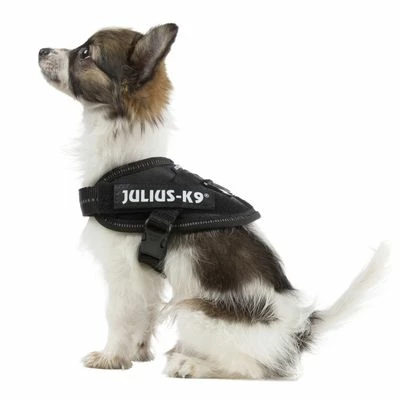 Julius K9 Harnais JULIUS-K9 IDC® Power, Noir Pour Chien 3 Julius K9 Harnais JULIUS-K9 IDC® Power, Noir Pour Chien - Afbeelding 3