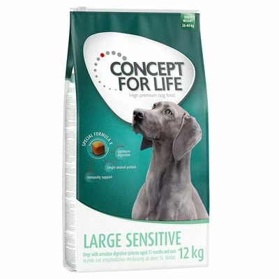 Lot Concept For Life Pour Chien 10 Lot Concept For Life Pour Chien - Afbeelding 10