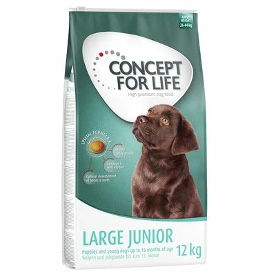 Lot Concept For Life Pour Chien 8 Lot Concept For Life Pour Chien - Afbeelding 8