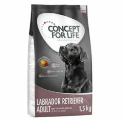 Croquettes Concept For Life 4 X 1 Ou 1,5 Kg Pour Chien à Prix Mini ! 24 Croquettes Concept For Life 4 X 1 Ou 1,5 Kg Pour Chien à Prix Mini ! -Aanbiedingen Zooplus Winkel 66954 pla concept for life labrador retriever 1 5kg 4