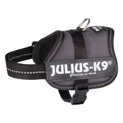 Julius K9 Harnais JULIUS-K9® Power, Anthracite Pour Chien 3 Julius K9 Harnais JULIUS-K9® Power, Anthracite Pour Chien - Afbeelding 3