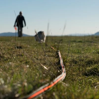 Longe Heim Super-Grip Pour Chien 3 Longe Heim Super-Grip Pour Chien - Afbeelding 3