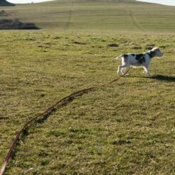 Longe Heim Super-Grip Pour Chien 33 Longe Heim Super-Grip Pour Chien -Aanbiedingen Zooplus Winkel 71830 supergrip outside fg 3556 0