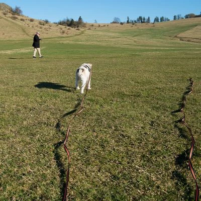 Longe Heim Super-Grip Pour Chien 16 Longe Heim Super-Grip Pour Chien - Afbeelding 16