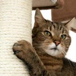 Arbre à Chat Maison En Pain D'épice Avec échelle 28 Arbre à Chat Maison En Pain D'épice Avec échelle -Aanbiedingen Zooplus Winkel 72045 knusperhaeuschen braun fg 9477 4