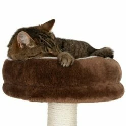 Arbre à Chat Maison En Pain D'épice Avec échelle 24 Arbre à Chat Maison En Pain D'épice Avec échelle -Aanbiedingen Zooplus Winkel 72045 kratzbaum fg 3678 4