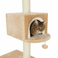 Arbre à Chat Maison En Pain D'épice Avec échelle 32 Arbre à Chat Maison En Pain D'épice Avec échelle -Aanbiedingen Zooplus Winkel 72124 knusperhaeuschen beige fg 9519 6