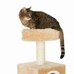 Arbre à Chat Maison En Pain D'épice Avec échelle 30 Arbre à Chat Maison En Pain D'épice Avec échelle -Aanbiedingen Zooplus Winkel 72124 knusperhaeuschen beige fg 9529 6