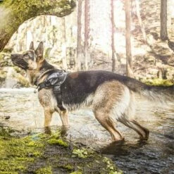 Julius K9 Harnais JULIUS-K9 IDC® Power, Camouflage Pour Chien 20 Julius K9 Harnais JULIUS-K9 IDC® Power, Camouflage Pour Chien -Aanbiedingen Zooplus Winkel 74075 julius k9 idc powergeschirr camouflage 1 1