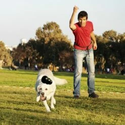 Lot Kong Extreme Pour Chien 26 Lot Kong Extreme Pour Chien -Aanbiedingen Zooplus Winkel 74319 kongextremeschwarz hs 02 0