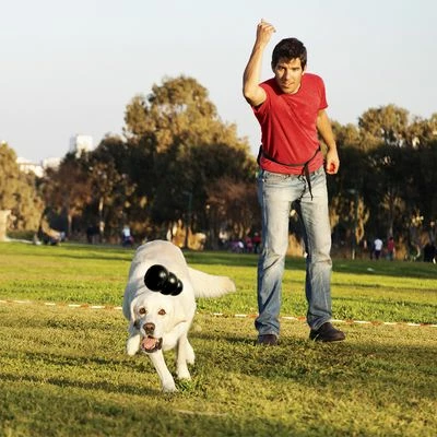 Lot Kong Extreme Pour Chien 9 Lot Kong Extreme Pour Chien - Afbeelding 9