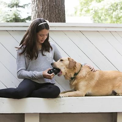 Lot Kong Extreme Pour Chien 15 Lot Kong Extreme Pour Chien - Afbeelding 15