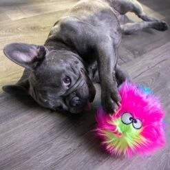 Jouet GoDog® Furballz Arc En Ciel Pour Chien 17 Jouet GoDog® Furballz Arc En Ciel Pour Chien -Aanbiedingen Zooplus Winkel 84956 godog furballzregenbogen hs 06 0