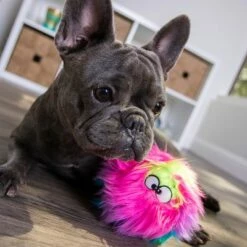 Jouet GoDog® Furballz Arc En Ciel Pour Chien 19 Jouet GoDog® Furballz Arc En Ciel Pour Chien -Aanbiedingen Zooplus Winkel 84956 godog furballzregenbogen hs 08 4