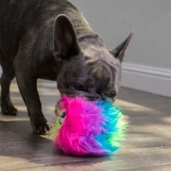 Jouet GoDog® Furballz Arc En Ciel Pour Chien 15 Jouet GoDog® Furballz Arc En Ciel Pour Chien -Aanbiedingen Zooplus Winkel 84956 godog furballzregenbogen hs 09 4