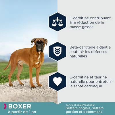 Eukanuba Adult Breed Specific Boxer Pour Chien 3 Eukanuba Adult Breed Specific Boxer Pour Chien - Afbeelding 3