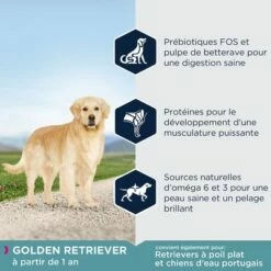 Eukanuba Adult Breed Specific Golden Retriever Pour Chien -Aanbiedingen Zooplus Winkel 8710255120348 9